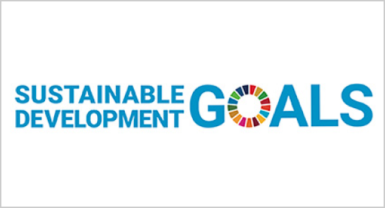 SUSTAINABLE DEVELOPMENT GOALS