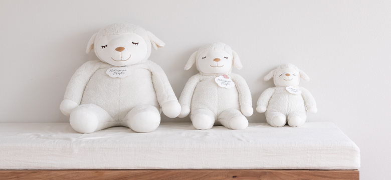 ブランドストーリーのイメージ